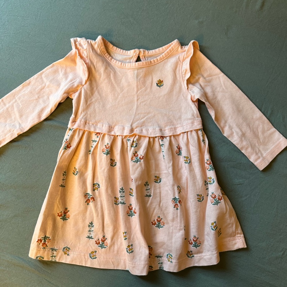 Carter’s Baby Girl 9 M